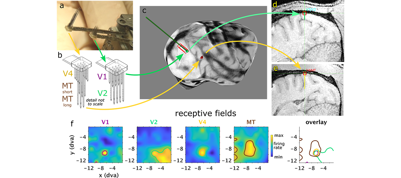 Four-area population recording in the Snyder lab