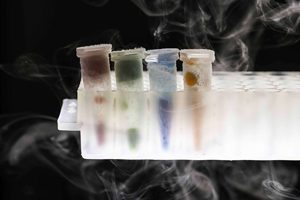 Four tubes, each a different color, containing hydrogels frozen in liquid nitrogen and obtained via 3d bioprinting.