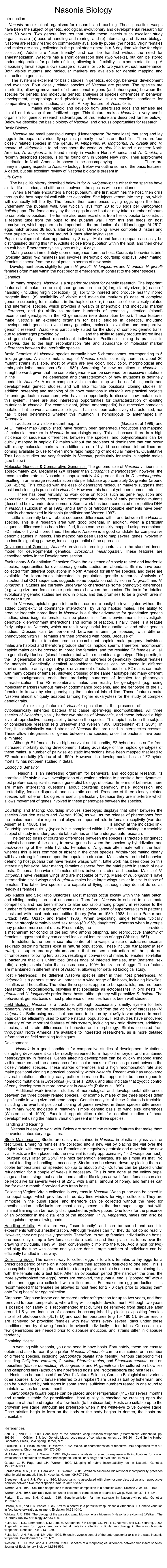 Nasonia Biology
Introduction
  Nasonia are excellent organisms for research and teaching. These parasitoid wasps have been the subject of genetic, ecological, evolutionary and developmental research for over 50 years. Two general features that make these insects such excellent study organisms are (a) ease of handling and rearing, and (b) interesting and diverse biology. Nasonia are readily reared on commercially available fly pupae (the hosts). Virgin females and males are easily collected in the pupal stage (there is a 3 day time window for virgin collection). Adults are "user friendly" and can be handled without the need for anaesthetization. Nasonia has a short generation time (two weeks), but can be stored under refrigeration for periods of time, allowing for flexibility in experimental timing. A diapausing larval stage allows storage of strains for up to two years without maintenance. Both visible mutants and molecular markers are available for genetic mapping and instruction in genetics.       The system is excellent for basic studies in genetics, ecology, behavior, development and evolution. Four closely related species of Nasonia are present. The species are interfertile, allowing movement of chromosomal regions (and phenotypes) between the species for genetic and molecular genetic analyses of species differences in behavior, development, morphology and physiology. Nasonia is an excellent candidate for comparative genomic studies, as well. A key feature of Nasonia is haplodiploid sex determination; males are haploid and develop from unfertilized eggs and females are diploid and develop from fertilized eggs. This feature makes Nasonia a very useful organism for genetic research (advantages of this feature are described further below). Below we describe the basic biology of Nasonia, and discuss opportunities for research.
Basic Biology
     Nasonia are small parasitoid wasps (Hymenoptera: Pteromalidae) that sting and lay eggs in the pupae of various fly species, primarily blowflies and fleshflies. There are four closely related species in the genus, N. vitripennis, N. longicornis, N. giraulti and N. oneida. N. vitripennis is found throughout the world; N. giraulti is found in eastern North America; N. longicornis is found mainly in western North America and N. Oneida, a recently described species, is so far found only in upstate New York. Their approximate distribution in North America is shown in the accompanying distribution map. There are many intriguing aspects to Nasonia biology. Below we outline some of the basic features. A dated, but still excellent review of Nasonia biology is present in Whiting (1967).
Life Cycle
     The basic life history described below is for N. vitripennis; the other three species have similar life-histories, and differences between the species will be mentioned.      When a female encounters a host puparium, she first examines the host, then drills through the host puparial wall with her ovipositor. She injects venom into the pupa, which will eventually kill the fly. The female then commences laying eggs upon the host, underneath the puparial wall. She typically lays from 20 to 50 eggs per Sarcophaga bullata pupa. The female may lay these eggs in one bout or may take a number of hours to complete oviposition. The female also uses excretions from her ovipositor to construct a feeding tube from the pupa to the puparial wall. From this she feeds on host hemolymph, which appears to be important in the production of additional eggs. At 25°C, eggs hatch around 36 hours after being laid. Developing larvae complete 3 instars and then pupate within the host around 9 days after laying (see Development Time Table). Pupal development takes approximately 3 days. Male and female pupae can easily be distinguished during this time. Adults eclose from pupation within the host, and then chew an exit hole. Emergence typically occurs by 14 days.       Mating occurs immediately upon emergence from the host. Courtship behavior is brief (typically taking 1-2 minutes) and involves stereotypic courtship displays. After mating, females disperse from the natal patch in search of new hosts.       Development takes slightly longer in N. giraulti, N. longicornis and N. oneida. N. giraulti females often mate within the host prior to emergence, in contrast to the other species.
Genetics
     In many respects, Nasonia is a superior organism for genetic research. The important features that make it so are (a) short generation time (b) large family sizes, (c) ease of handling (including virgin collection), (d) ability to inbreed and produce healthy inbred isogenic lines, (e) availability of visible and molecular markers (f) ease of complete genome screening for mutations in the haploid sex, (g) presence of four closely related and interfertile species, which provides a wealth of phenotypic and molecular marker differences, and (h) ability to produce hundreds of genetically identical (clonal) recombinant genotypes in the F3 generation (see description below). These features make Nasonia an excellent organism for basic studies in genetics, including developmental genetics, evolutionary genetics, molecular evolution and comparative genomic research. Nasonia is particularly suited for the study of complex genetic traits, due to advantages provided by haploid males and the ability to easily produce inbred lines and genetically identical recombinant individuals. Positional cloning is practical in Nasonia, due to the high recombination rate and abundance of molecular marker differences between the interfertile species.
Basic Genetics: All Nasonia species normally have 5 chromosomes, corresponding to 5 linkage groups. A visible mutant map of Nasonia exists; currently there are about 20 mutant strains available, most of which are eye color, body color, morphological and embryonic lethal mutations (Saul 1989). Screening for new mutations in Nasonia is straightforward, given that the complete genome can be screened for recessive mutations in the haploid sex. The generation and characterization of new mutations is definitely needed in Nasonia. A more complete visible mutant map will be useful in genetic and developmental genetic studies, and will also facilitate positional cloning studies. In addition, screening and mapping of de novo mutations in Nasonia are practical projects for undergraduate researchers, who have the opportunity to discover new mutations in this system. There are also interesting opportunities for characterization of existing mutations in Nasonia. For example dant, (distal antennapedia) is a recessive homeiotic mutation that converts antennae to legs; it has not been extensively characterized, nor has it been determined whether this mutation is homologous to antennapedia in Drosophila.      In addition to a visible mutant map, a RAPD molecular map (Gadau et al 1999) and AFLP marker map (unpublished) have recently been generated. Production and mapping of molecular markers in Nasonia is surprisingly easy. This is because there is a high incidence of sequence differences between the species, and polymorphisms can be quickly mapped in haploid F2 males without the problems of dominance that can occur with many molecular markers. In addition, a set of hybrid recombinant inbred lines are coming available to use for even more rapid mapping of molecular markers. Quantitative Trait Locus studies are very feasible in Nasonia, particularly for traits in haploid males (see below)
Molecular Genetics & Comparative Genomics: The genome size of Nasonia vitripennis is approximately 250 Megabase (2X greater than Drosophila melanogaster); however, the recombination rate in Nasonia is approximately 4X greater than in D. melanogaster, resulting in an average recombination rate per kilobase approximately 2X greater (around 330 Kb/cm). This coupled with the ease of generating molecular markers suggests that positional cloning is practical in Nasonia. However, this has not yet been demonstrated.       There has been virtually no work done on topics such as gene regulation and expression in Nasonia, except for recent promising studies of early patterning mutants (described below under development). Some work has been conducted on repetitive DNA in Nasonia (Eickbush et al 1992) and a family of retrotransposable elements have been partially characterized in Nasonia (McAllister and Werren 1997).       Little is currently known about sequence differences within and between the Nasonia species. This is a research area with good potential. In addition, when a particular sequence difference has been identified, it can can be quickly mapped using recombinant F2 males or hybrid inbred lines. Therefore, Nasonia is a good candidate for comparative genomic studies in insects. This method has been used to map several genes involved in the insulin signaling pathway, indicating potential of the approach.
Developmental Genetics: Nasonia provides interesting contrasts to the standard insect model for developmental genetics, Drosophila melanogaster. These features are described below in the Development section.
Evolutionary & Quantitaive Genetics: Given the existence of closely related and interfertile species, opportunities for evolutionary genetic studies are abundant. Strains have been collected from different populations in North America for all three species, and these are available for laboratories interested in population genetic research. Analysis of mitochondrial CO1 sequences suggests some population subdivision in N. giraulti and N. longicornis. Studies are currently underway to characterize some phenotypic differences (e.g. wing size and female mate preference) between the species. The tools for detailed evolutionary genetic studies are now in place, and this promises to be a growth area in the near future.      In Nasonia, epistatic gene interactions can more easily be investigated without the added complexity of dominance interactions, by using haploid males. The ability to produce isogenic inbred lines in Nasonia is a further advantage for quantitative genetic studies, since isogenic females can be placed in different environments to investigate genotype x environment interactions and norms of reaction. Finally, there is a feature fairly unique to Nasonia, which makes it very useful for quantitative and other genetic studies. Crosses can be performed between strains (or species) with different phenotypes; virgin F1 females are then provided with hosts. Because of haplodiploid sex determination, these females produce recombinant haploid male progeny. Individual males are haploid and therefore produce identical haploid sperm. Therefore, recombinant haploid males can be crossed to inbred line females, and the resulting F3 females will all be genetically identical (clonal females), but with a recombinant genotype. This permits, in the F3 generation of a cross, the production of hundreds of genetically identical females for analysis. Genetically identical recombinant females can be placed in different environments to analyze genotype x environment effects. In addition, F2 males can mate with many dozens of females, allowing crossing of the same haplotype into many different genetic backgrounds, each then producing hundreds of females for phenotypic characterization. The F2 recombinant males can readily be genotyped (e.g. using molecular markers) without marker codominance problems, and the genotype of the F3 females is known by also genotyping the maternal inbred line. These features make Nasonia almost uniquely adapted (among higher eukaryotes) for the study of complex genetic traits.      An exciting feature of Nasonia speciation is the presence of Wolbachia, cytoplasmically inherited bacteria that cause sperm-egg incompatibilities. All three species of Nasonia typically harbor two strains of Wolbachia, and these induced a high level of reproductive incompatibility between the species. This topic has been the subject of considerable research (e.g Breeuwer and Werren 1990, Bordenstein et al 2001). In fact, it is antibiotically cured strains of Nasonia that are used in interspecies crosses. These allow introgression of genes between the species, once the bacteria have been eliminated.       Although F1 females have high survival and fecundity, F2 hybrid males suffer from increased mortality during development. Taking advantage of the haploid genotypes of these males, a number of pairwise epistatic interactions have been mapped that lead to F2 male mortality (Gadau et al 1999). However, the developmental basis of F2 hybrid mortality has not been studied in detail.
Ecology & Behavior
     Nasonia is an interesting organism for behavioral and ecological research. Its parasitoid life style allows investigations of questions relating to parasitoid-host dynamics, host preference, specialist versus generalist biology, et cetera. In terms of behavior, there are many interesting questions about courtship behavior, male aggression and territoriality, female dispersal, and sex ratio control. Presence of three closely related species with different biologies is useful, particularly because they are interfertile which allows movement of genes involved in these phenotypes between the species.   Courtship and Mating: Courtship involves stereotypic displays that differ between the species (van den Assem and Werren 1994) as well as the release of pheromones from the males mandibular region that plays an important role in female receptivity (van den Assem et al 1980). The Courtship display of N. longicornis is shown at the indicated link. Courtship occurs quickly (typically it is completed within 1-2 minutes) making it a tractable subject of study in undergraduate laboratories and for undergraduate research.      The genetic basis of courtship differences between the species is tractable for genetic analysis because of the ability to move genes between the species by hybridization and back-crossing of the fertile hybrids. Females of N. giraulti often mate within the host, whereas this is less common or absent in the other species. Within-host mating clearly will have strong influences upon the population structure. Males show territorial behavior, defending host puparia that have female wasps within. Little work has been done on this interesting behavior. After mating, females disperse from the natal patch in search of new hosts. Dispersal behavior of females differs between strains and species. Males of N. vitripennis have vestigial wings and are incapable of flying. Males of N. longicornis have intermediate sized wings and N. giraulti males have large wings similar in size to those of females. The latter two species are capable of flying, although they do not do so as readily as females.
Sex Ratios and Sex Ratio Distorters: Most matings occur locally within the natal patch, and sibling matings are not uncommon. Therefore, Nasonia is subject to local mate competition, and has been shown to alter sex ratio among progeny in response to the number of females in a group of hosts or as a consequence of superparasitism in patterns consistent with local mate competition theory (Werren 1980, 1983, but see Parker and Orzack 1985, Orzack and Parker 1986). When ovipositing, single females typically produce strongly female-biased sex ratios (80 -95% daughters), whereas when in groups they produce more equal ratios. Presumably, the haplodiploid sex determination provides a mechanism for control of the sex ratio among offspring, and reproductive anatomy of females suggest that they can control individual fertilization of eggs (Whiting 1967).       In addition to the normal sex ratio control of the wasps, a suite of extrachromosomal sex ratio distorting factors exist in natural populations. These include psr (paternal sex ratio), a supernumerary chromosome that causes destruction of the paternal chromosomes following fertilization, resulting in conversion of males to females, son-killer, a bacterium that kills unfertilized (male) eggs of infected females, msr (maternal sex ratio), a cytoplasmic factor that causes nearly 100% fertilization of eggs. These factors are maintained in different lines of Nasonia, allowing for detailed biological study.
Host Preferences: The different Nasonia species differ in their host preferences. N. vitripennis is a generalist and will parasitize a wide range of fly hosts, including blowflies, fleshflies and houseflies. The other three species appear to be specialists, and are found parasitizing Protocalliphora, blowflies that specialize as ectoparasites in bird nests. N. giraulti and N. longicornis prefer these hosts, although they will parasitize S. bullata. The behavioral, genetic basis of host preference differences has not been well studied. 
Field Biology: Nasonia is a tractable, although occasionally smelly, system for field research. Wasps can be collected from bird nests and from the vicinity of carcasses (N. vitripennis). Baits using meat that has been fed upon by blowfly larvae placed in mesh bags can be efficiently used to sample natural populations. Field studies have uncovered a variety of the important features of this system, including sex ratio distorters, additional species, and strain differences in behavior and morphology. Strains collected from throughout North America are available to interested researchers, as is more detailed information on field sampling techniques.
Development
     Nasonia is a good candidate for comparative studies of development. Mutations disrupting development can be rapidly screened for in haploid embryos, and maintained heterozygously in females. Genes affecting development can be quickly mapped using visible markers and the abundance of molecular marker differences present between the closely related species. These marker differences and a high recombination rate also make positional cloning a practical possibility within Nasonia. Recent work has uncovered several mutations affecting early pattern formation that appear to be homologous to homeiotic mutations in Drosophila (Pultz et al 2000), and also indicate that zygotic control of early development is more prevalent in Nasonia (Pultz et al 1999).      Additional work involves studies of morphological and developmental differences between the three closely related species. For example, males of the three species differ significantly in wing size and head shape. Genetic analysis of these features is tractable, including the eventual positional cloning of genes involved in these species differences. Preliminary work indicates a relatively simple genetic basis to wing size differences (Weston et al 1999). Excellent opportunities exist for detailed studies of head development using the natural variation present in the three species.
Handling and Rearing      Nasonia is easy to work with. Below are some of the relevant features that make them convenient laboratory organisms.
Stock Maintenance: Stocks are easily maintained in Nasonia in plastic or glass vials or test tubes. Emerging females are collected into a new vial by placing the vial over the original vial with emerged wasps. Females are negatively geotaxic and move into the new vial. Hosts are then placed into the new vial (usually approximately 1 - 2 wasps per host). Fourteen days later (at 25°C) the next generation emerges. It's as simple as that. No special feeding or handling is necessary. Stocks can be slowed down by placing them at cooler temperatures, or speeded up (up to about 28°C). Cultures can be placed under refrigeration for a couple of weeks if necessary. This is best done at the yellow pupal stage and adult stage, but can be done at other life stages as well. Adult females can also be kept alive for several weeks at 25°C with a small amount of honey, and females can live for over a month if provided with fresh hosts.
Collecting Virgins: Virgin collection is very easy in Nasonia. Wasp pupae can be sexed in the pupal stage, which provides a three day time window for virgin collection. They are immobile in the pupal stage, and therefore can be collected without the need for anesthetization. Individuals are most easily sexed in the dark pupal stage, but with minimal training can be readily distinguished as yellow pupae. One looks for the presence of an ovipositor in the distal end of the abdomen. In N. vitripennis, males can also be distinguished by small wing pads.
Handling Adults: Adults are very "user friendly" and can be sorted and used in experiments without anesthetization. Although females can fly, they do not do so readily. However, they are positively geotactic. Therefore, to set up females individually on hosts, one need only dump a few females onto a surface and then place test-tubes over the crawling individuals. They will then conveniently climb into the tube. Add a host (or two) and plug the tube with cotton and you are done. Large numbers of individuals can be efficiently handled in this way.
Collecting Eggs: The easiest way to collect eggs is to allow females to lay eggs for a prescribed period of time on a host to which their access is restricted to one end. This is accomplished by placing the host into a foam plug with a hole in one end, and placing this with the female into a test tube. After an oviposition period (the narrower the time, the more synchronized the eggs), hosts are removed, the puparial end is "popped off" with a probe, and eggs are collected with a fine brush. For maximum egg production, it is recommended that females be allowed to host feed for 2 - 3 days prior to placing them onto "plug hosts" for egg collection.
Diapause: Diapause larvae can be stored under refrigeration for up to two years, and then removed to room temperature, where they will complete development. Although two years is possible, for safety it is recommended that cultures be removed from diapause after around 1.5 years. Induction of diapause is accomplished by placing ovipositing females into short photoperiods (6L:18 D) and cool temperatures (e.g 15- 180 C). Better results are achieved by providing females with new hosts every several days under these conditions, and by allowing females to oviposit individually in test tubes. On occasion, a few generations are needed prior to diapause induction, and strains differ in diapause tendency.
Obtaining Hosts:
     In working with Nasonia, you also need to have hosts. Fortunately, these are easy to obtain and also to rear, if you prefer. Nasonia vitripennis can be maintained on a number of different species, including Sarcophaga bullata (the fleshfly), various calliphorid flies including Calliphora vomitora, C. vicina, Phormia regina, and Phaenicia sericata, and on houseflies (Musca domestica). N. longicornis and N. giraulti can be cultured on blowflies and calliphorid flies (although their preferred hosts are Protocalliphora bird nest flies).       Hosts can be purchased from Ward's Natural Science, Carolina Biologicial and various other sources. Blowfly larvae (referred to as "spikes") are used as bait by fisherman, and can be purchased by bait stores in some areas. sufficient numbers reared in one round to maintain wasps for several months.      Sarchophaga bullata pupae can be placed under refrigeration (4°C) for several months and remain suitable for parasitization. Host quality is checked by cracking open the puparium at the head region of a few hosts (to be discarded). Hosts are suitable up to the brownish eye stage, although are preferable when in the white-eye to yellow-eye stage. Once bristles begin to form on the body or the body begins to darken, the hosts are unsuitable.

References
Saul, G., and B. Ii. 1989. Gene map of the parasitic wasp Nasonia vitripennis (=Mormoniella vitripennis), pp. 198-201. In : O'Brien, S.J. (ed) Genetic Maps: locus maps of complex genomes, pp 198-201. Cold Spring Harbor Laboratory Press, Cold Spring Harbor, N.Y.
Eickbush, D., T. Eickbush and J.H. Werren. 1992. Molecular characterization of repetitive DNA sequences from a B chromosome. Chromosoma 101:575-583.
McAllister, B.F., and J.H.Werren. 1997. Phylogenetic analysis of a retrotransposon with implications for strong evolutionary constraints on reverse transcriptase. Molecular Biology and Evolution 14:69-80.
Gadau, J., R. Page and J.H. Werren. 1999. Mapping of hybrid incompatibility loci in Nasonia. Genetics 153:1731-1741.
Bordenstein, S.R., F.P. O'Hara and J.H. Werren. 2001. Wolbachia-induced bidirectional incompatibility precedes other hybrid incompatibilities in Nasonia. Nature 409:707-710.Breeuwer, H. and J.H. Werren. 1990. Microorganisms associated with chromosome destruction and reproductive isolation between two insect species. Nature 346: 558-560.
Werren, J.H.. 1980. Sex ratio adaptations to local mate competition in a parasitic wasp. Science 208:1157-1160.
Werren, J.H.. 1983. Sex ratio evolution under local mate competition in a parasitic wasp. Evolution 37: 116-124.
Parker, E.d., and S.H. Orzack. 1985. Genetic-variation for the sex-ratio in Nasonia-vitripennis. Genetics 110:93-105.
Orzack, S.H., and E.D. Parker. 1986. Sex-ratio control in a parasitic wasp, Nasonia-vitripennis .1. Genetic-variation in facultative sex-ratio adjustment. Evolution 40:331-340.
Whiting, A.R. 1967. The biology of the parasitic wasp Mormoniella vitripennis [=Nasonia brevicornis] (Walker). The Quarterly Review of Biology 42:333-406.
Pultz, M.A., K.K. Zimmerman, N.M. Alto, M. Kaeberlein, S.K.Lange, J.N. Pitt, N.L. Reeves, and D.L. Zehrung. 2000. A genetic screen for zygotic embryonic lethal mutations affecting cuticular morphology in the wasp Nasonia vitripennis. Genetics 154:1213-1229.
Pultz, M.A., J.N. Pitt, and N.M. Alto. 1999. Extensive zygotic control of the anteroposterior axis in the wasp Nasonia vitripennis. Development 126:701-710.
Weston, R., I. Qureshi and J.H. Werren. 1999. Genetics of a morphological difference between two insect species. Journal of Evolutionary Biology 12:586-595.