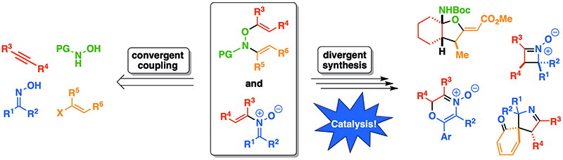 Three molecular groups in an example of catalysis with the convergent coupling on the left and the divergent synthesis on the right.
