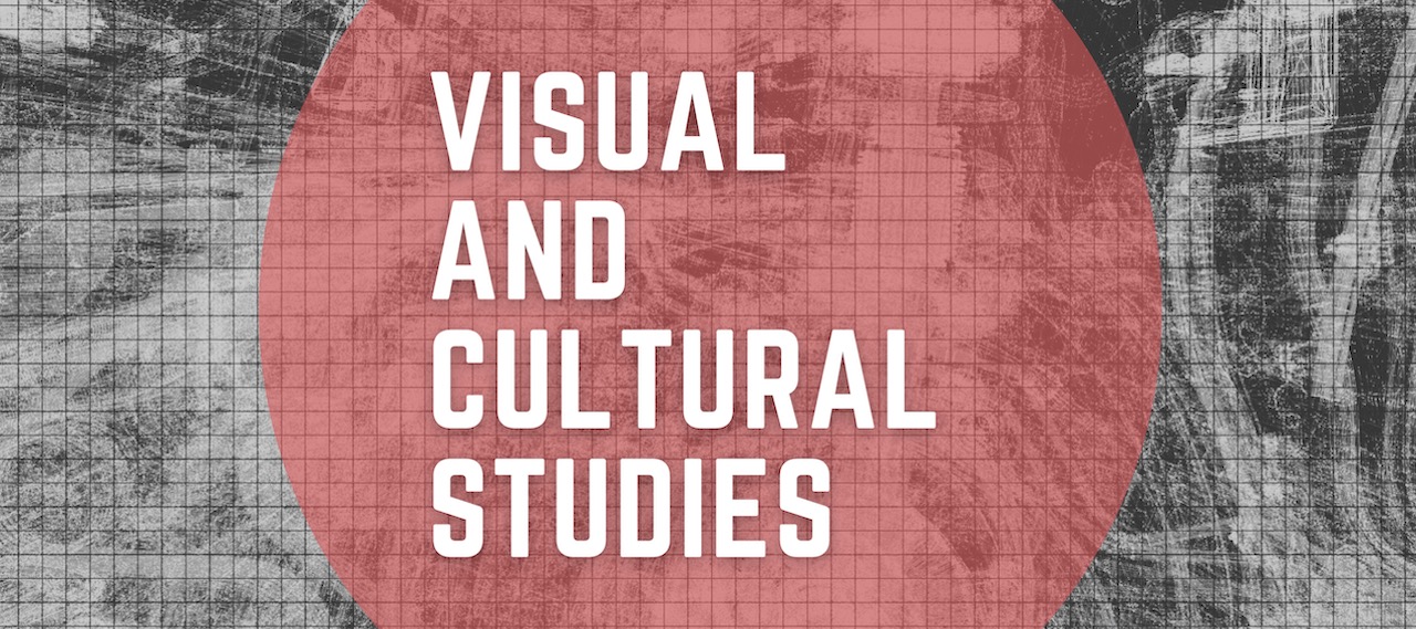 visual culture research